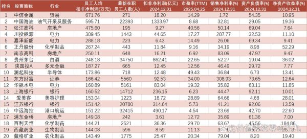 如何杠杆炒股 2024年员工人均扣非净利润前100名的股票分析