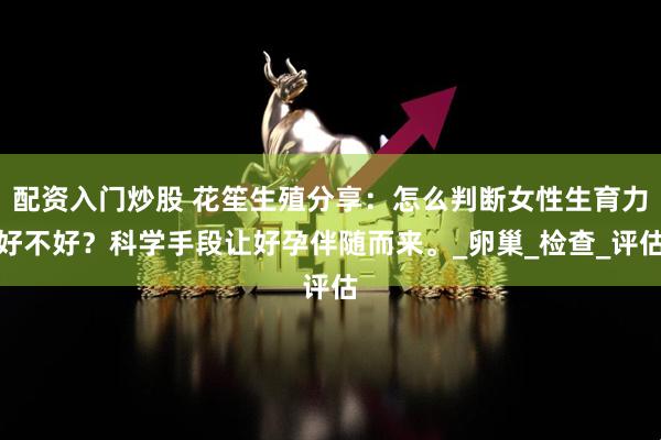配资入门炒股 花笙生殖分享：怎么判断女性生育力好不好？科学手段让好孕伴随而来。_卵巢_检查_评估