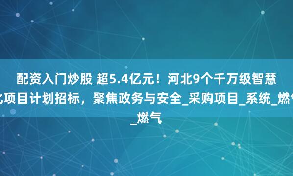 配资入门炒股 超5.4亿元！河北9个千万级智慧化项目计划招标，聚焦政务与安全_采购项目_系统_燃气